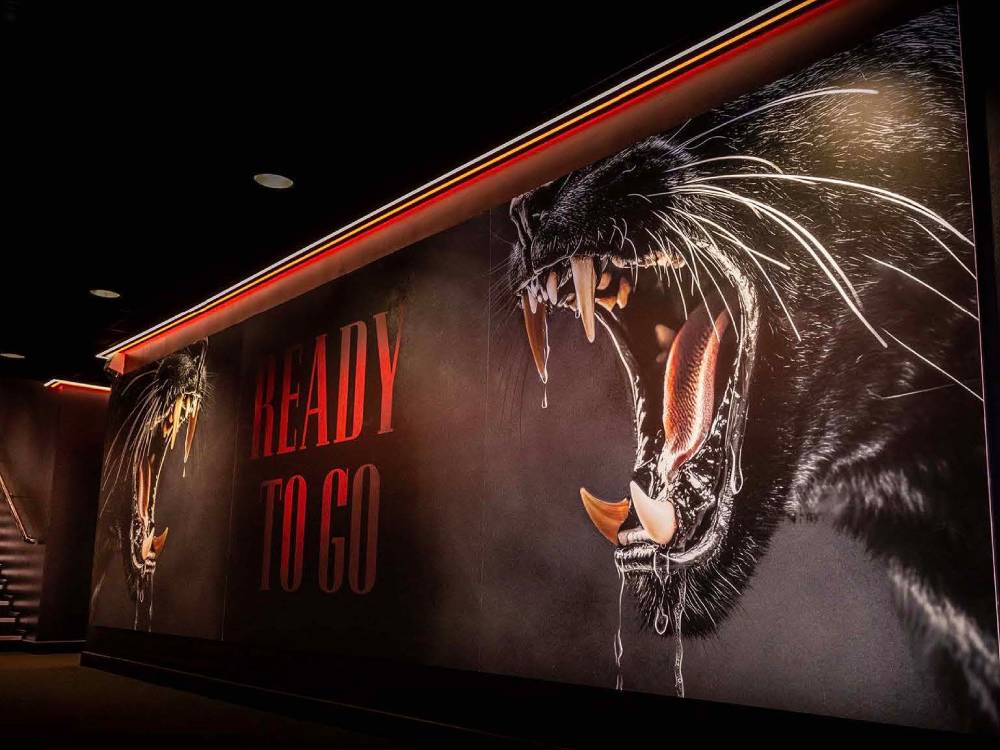 Sunderland AFC - Concourses - Jaguar Graphic Resized for blog